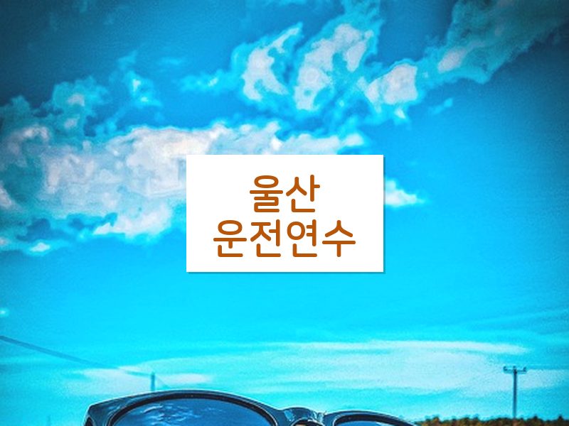 울산운전연수 후기