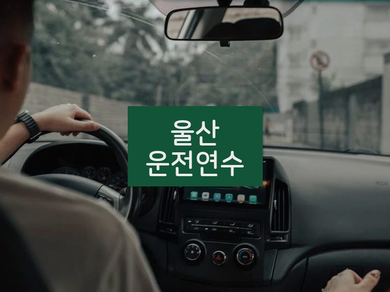 울산운전연수 후기