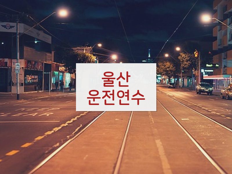 울산운전연수 후기