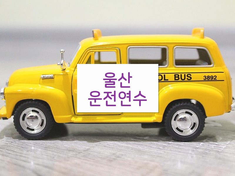 울산운전연수 후기