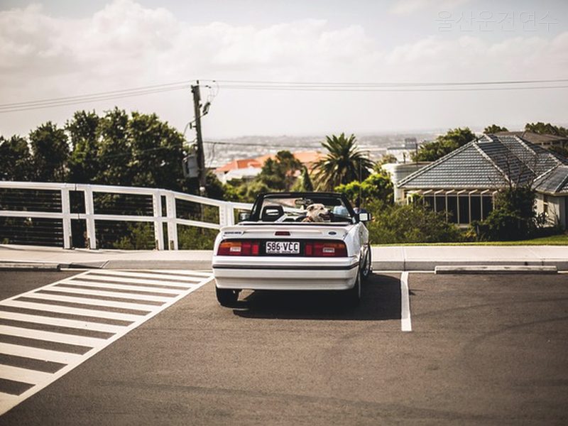 울산운전연수 후기