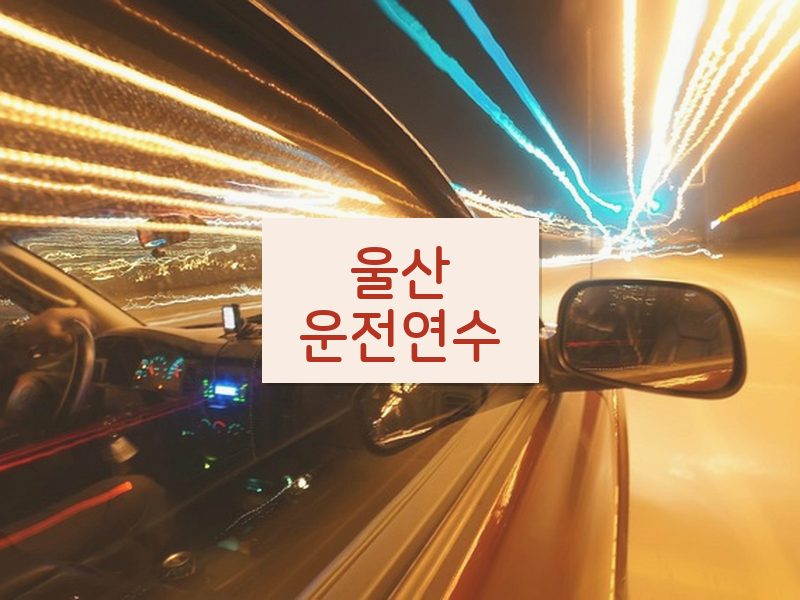 울산운전연수 후기