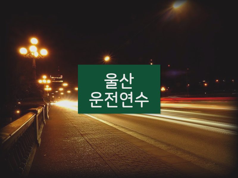 울산운전연수 후기