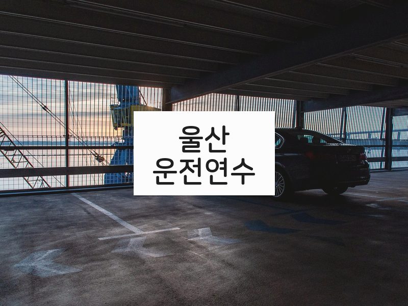 울산운전연수 후기