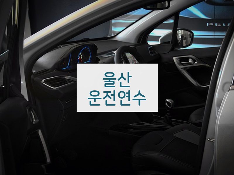 울산운전연수 후기