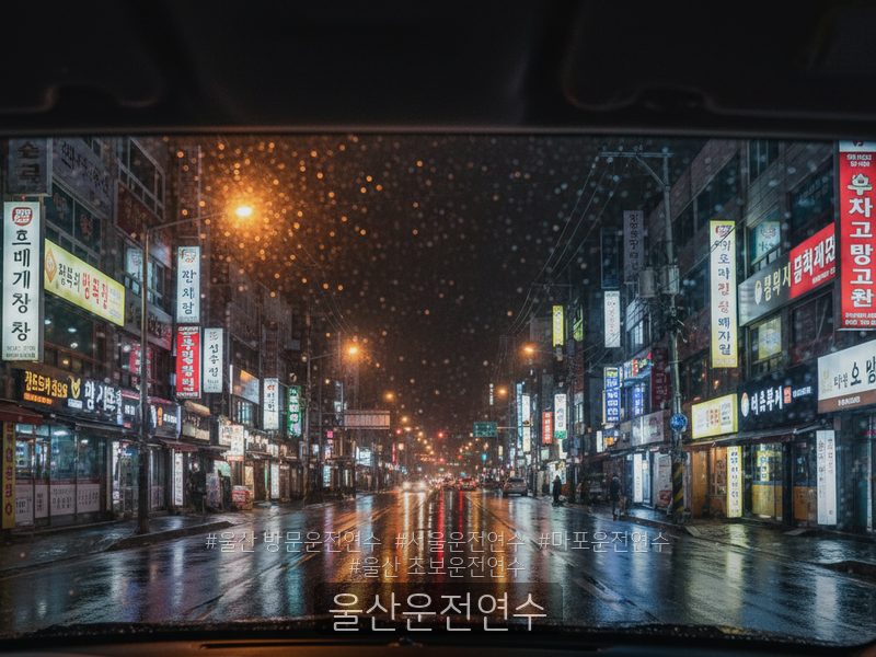 울산운전연수 후기