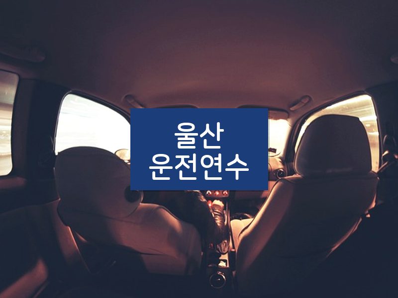 울산운전연수 후기