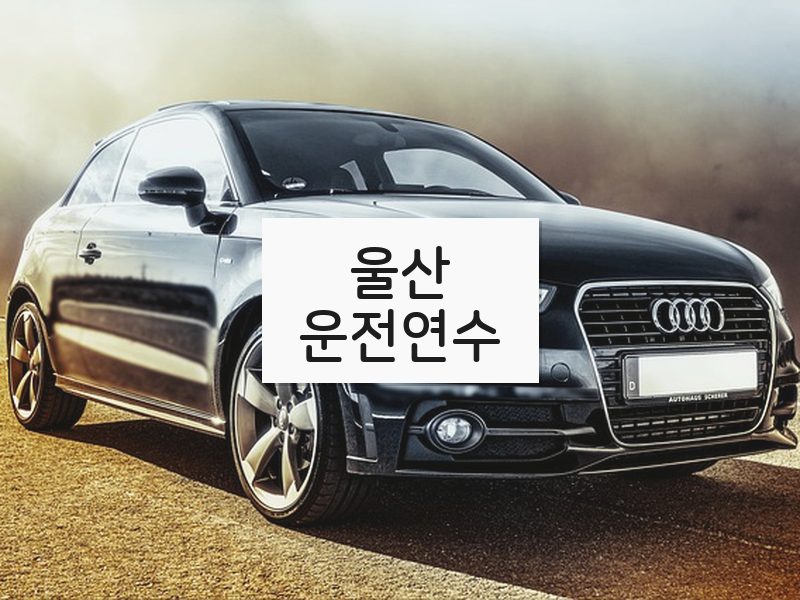 울산운전연수 후기