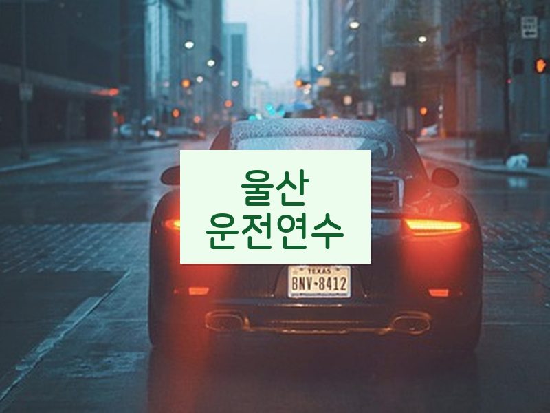 울산운전연수 후기