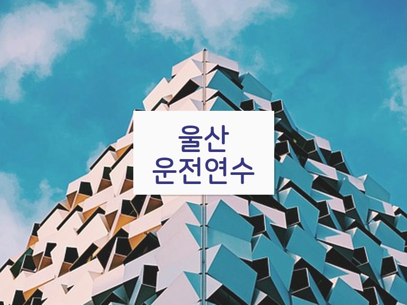 울산운전연수 후기