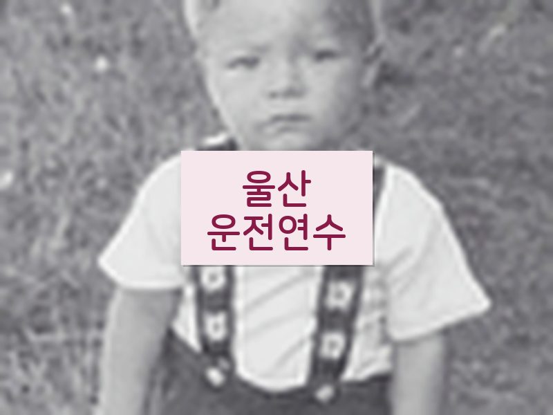 울산운전연수 후기