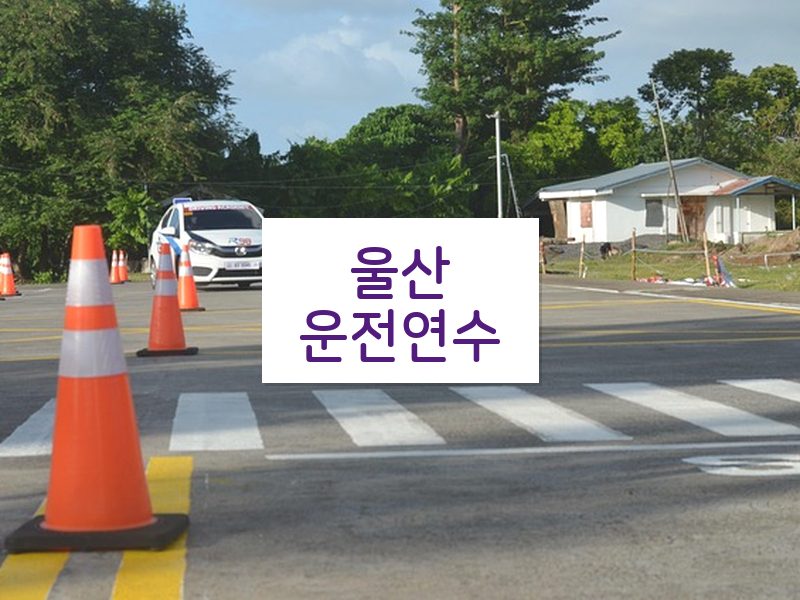 울산운전연수 후기