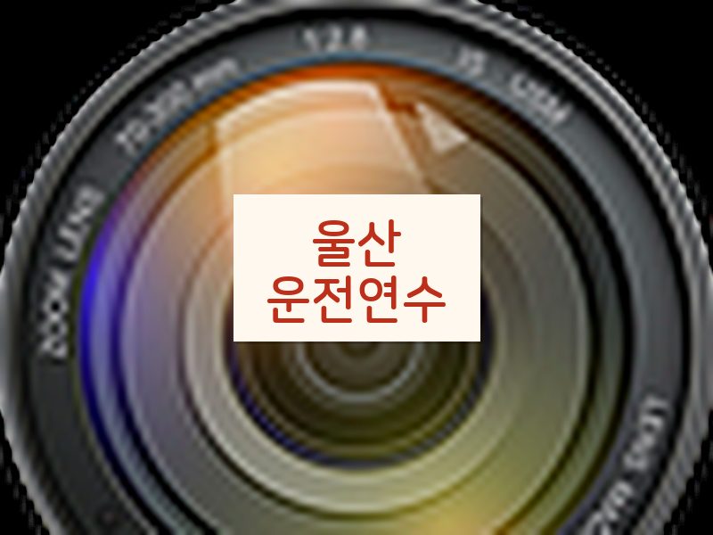울산운전연수 후기