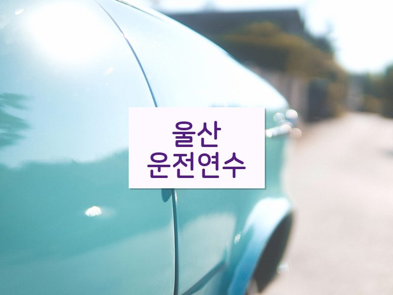 울산운전연수 후기