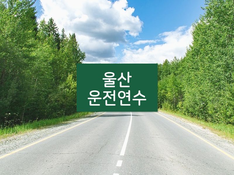 울산운전연수 후기
