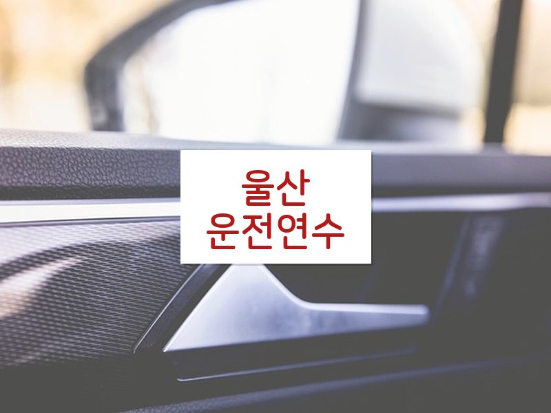 울산운전연수 후기