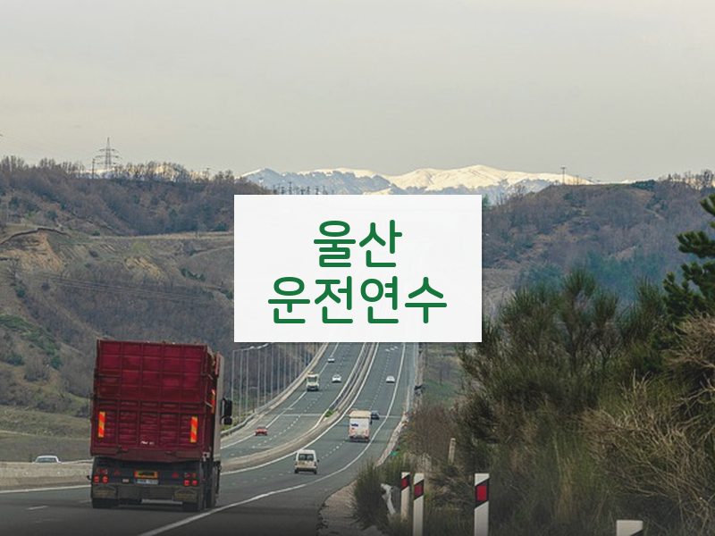 울산운전연수 후기