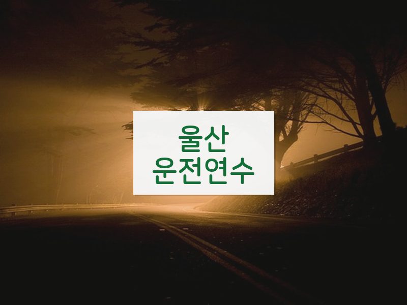 울산운전연수 후기