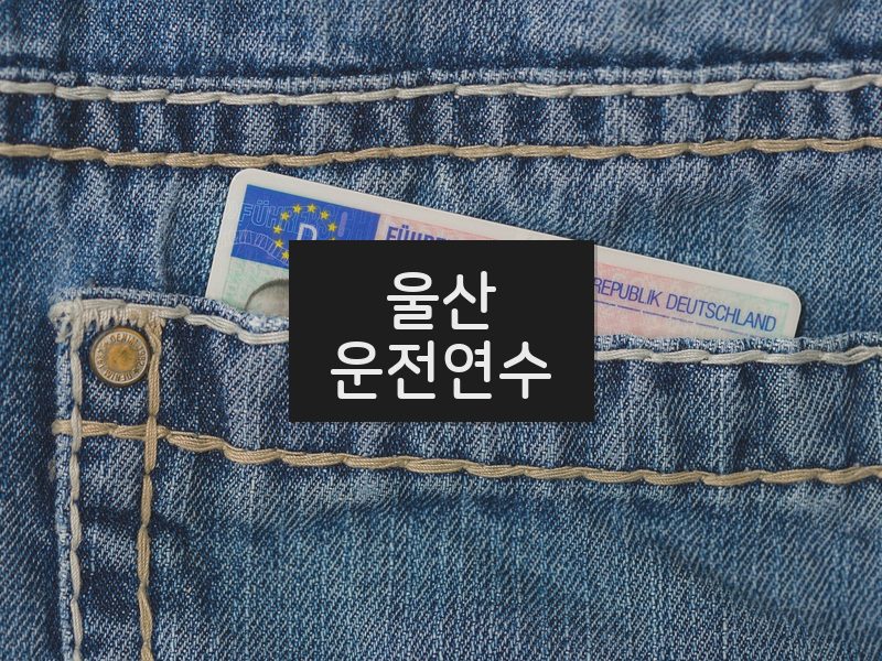 울산운전연수 후기