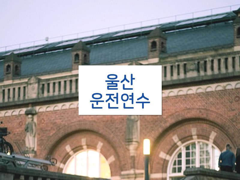 울산운전연수 후기