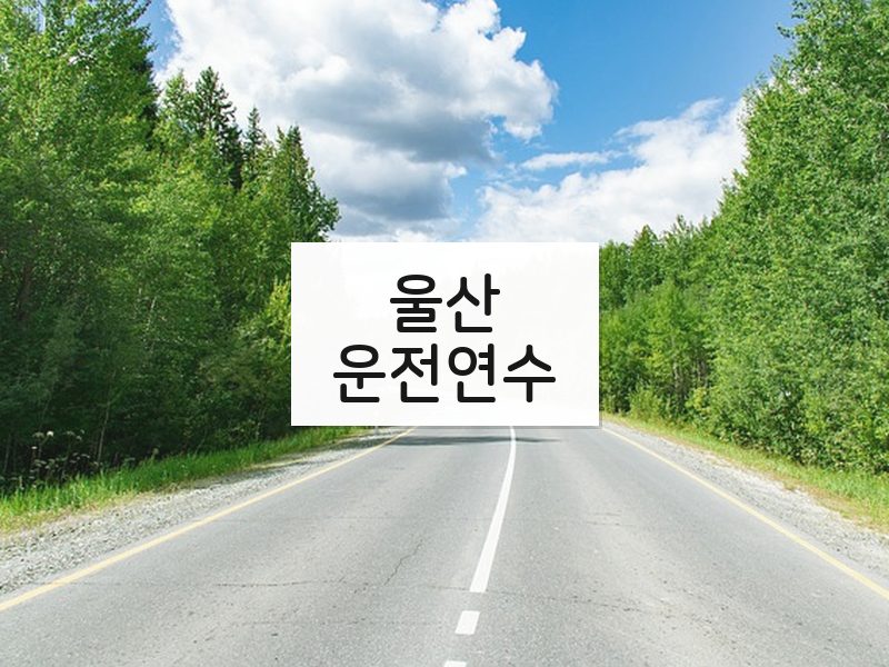 울산운전연수 후기