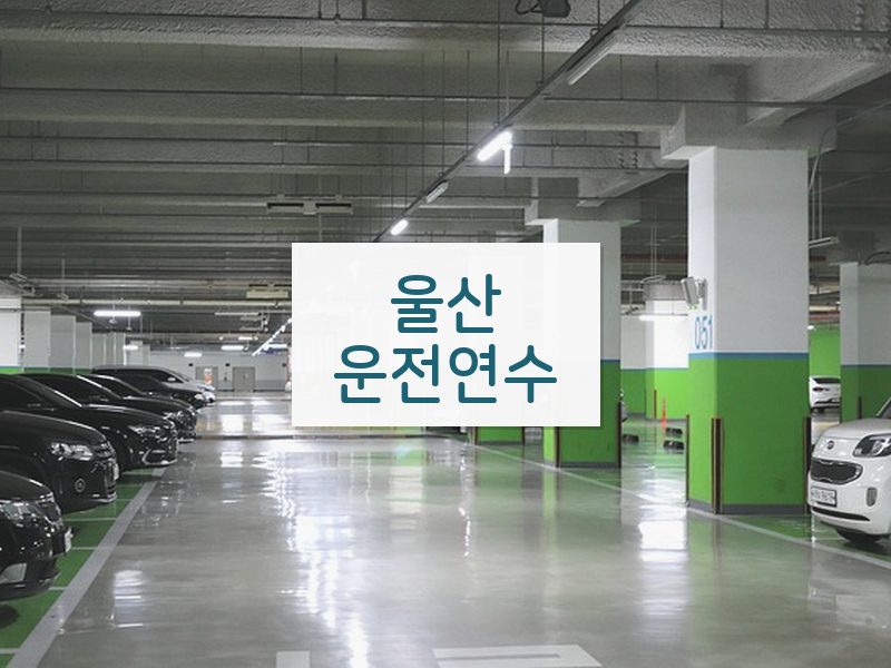 울산운전연수 후기