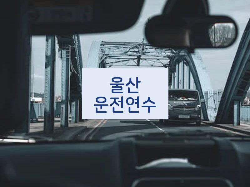 울산운전연수 후기