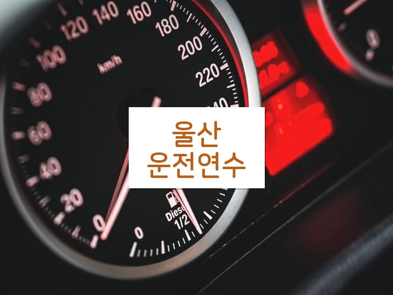 울산운전연수 후기