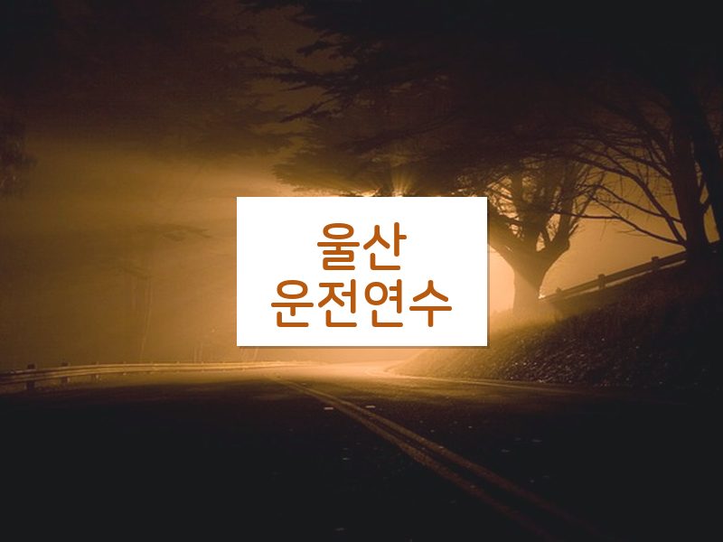 울산운전연수 후기