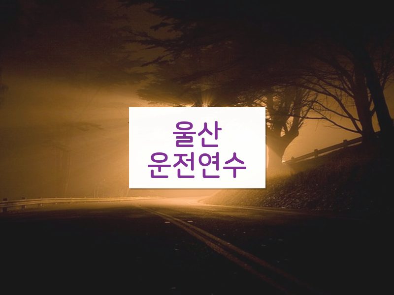 울산운전연수 후기