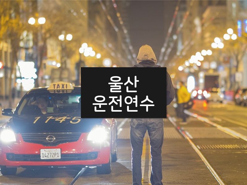 울산운전연수 후기