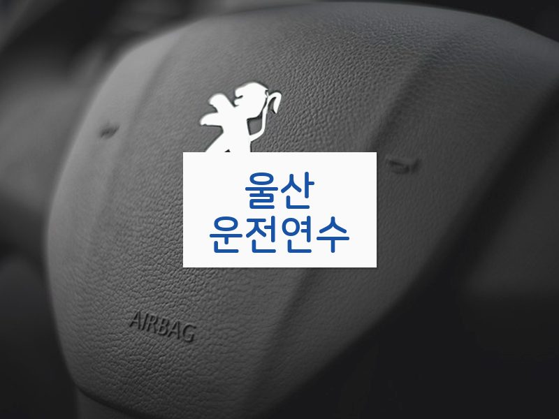 울산운전연수 후기