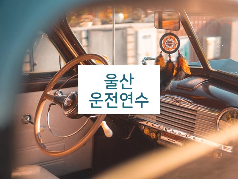 울산운전연수 후기