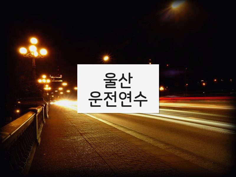 울산운전연수 후기