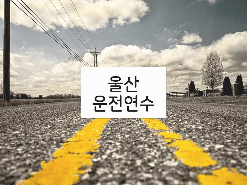 울산운전연수 후기