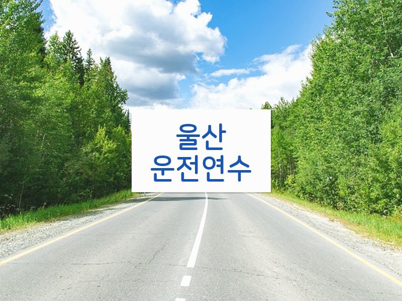 울산운전연수 후기
