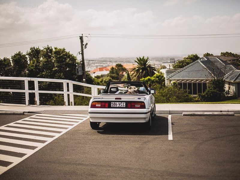 울산운전연수 후기