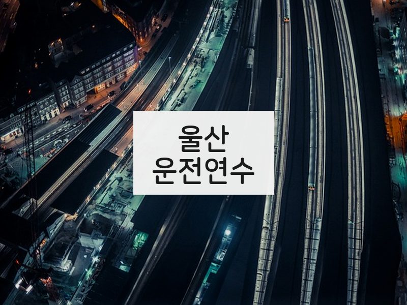 울산운전연수 후기