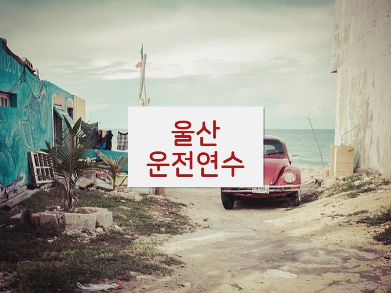 울산운전연수 후기