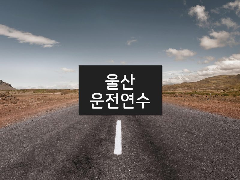 울산운전연수 후기