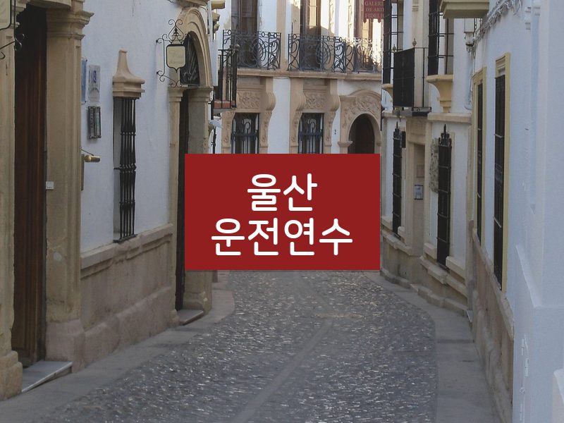 울산운전연수 후기