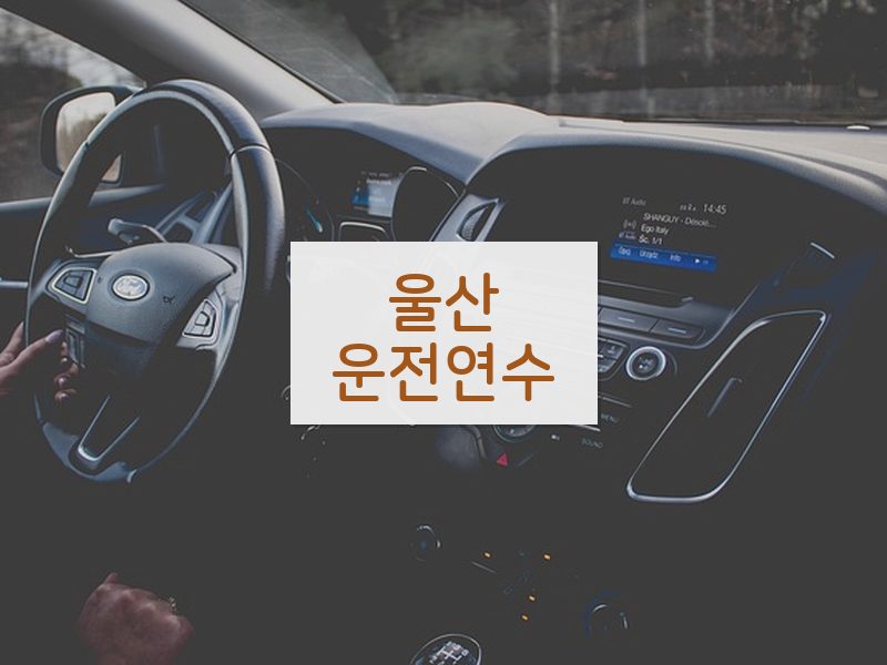 울산운전연수 후기