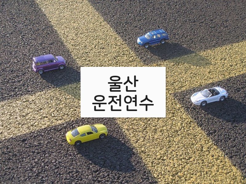 울산운전연수 후기