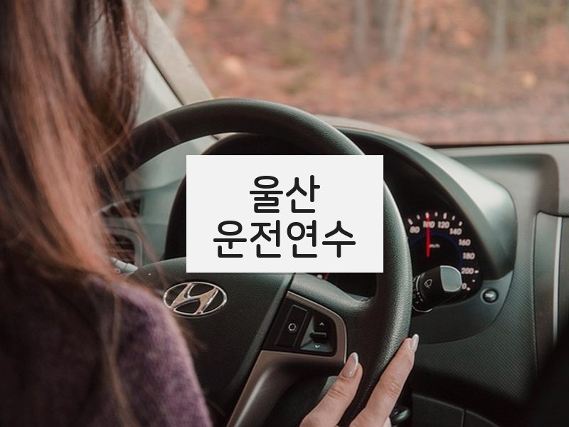 울산운전연수 후기