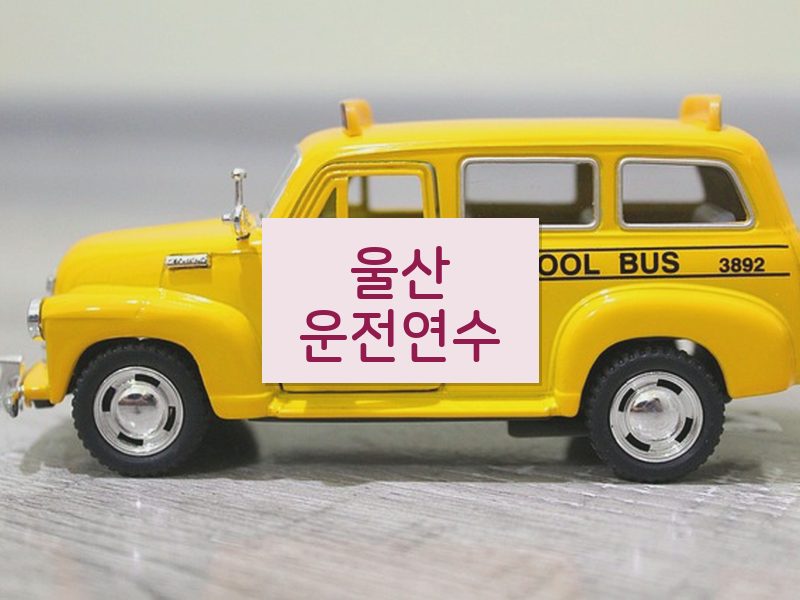 울산운전연수 후기