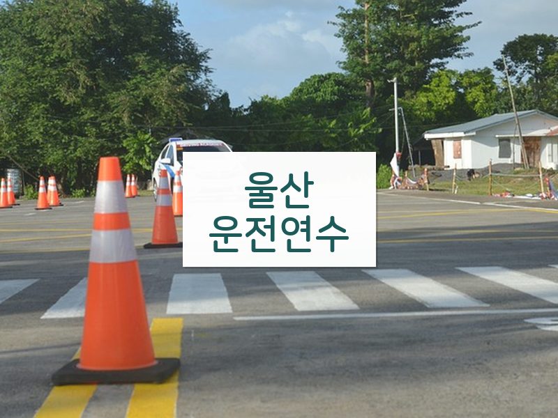 울산운전연수 후기