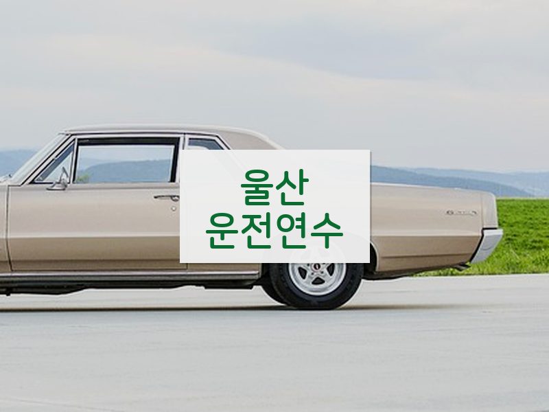 울산운전연수 후기