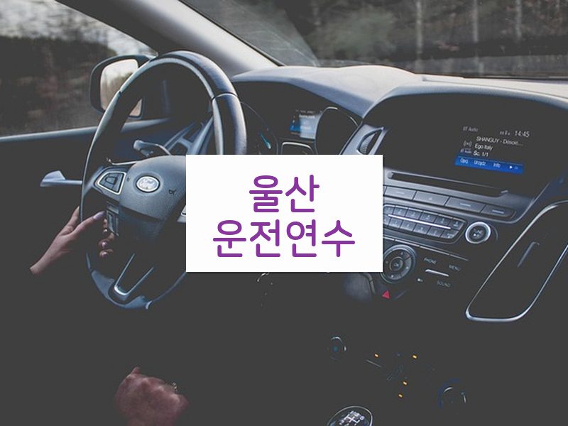 울산운전연수 후기