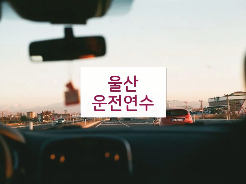 울산운전연수 후기