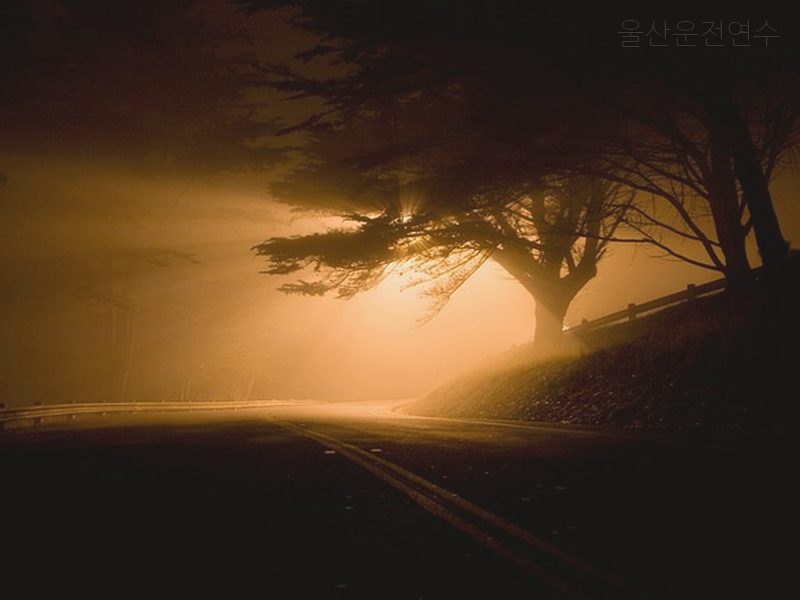 울산운전연수 후기